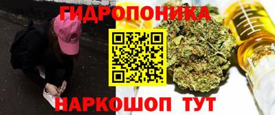 трава Кингисепп