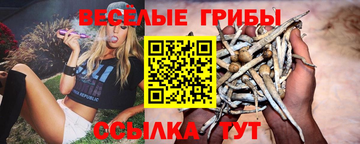 Галлюциногенные грибы ЛСД  Вход с VPN  Торжок 