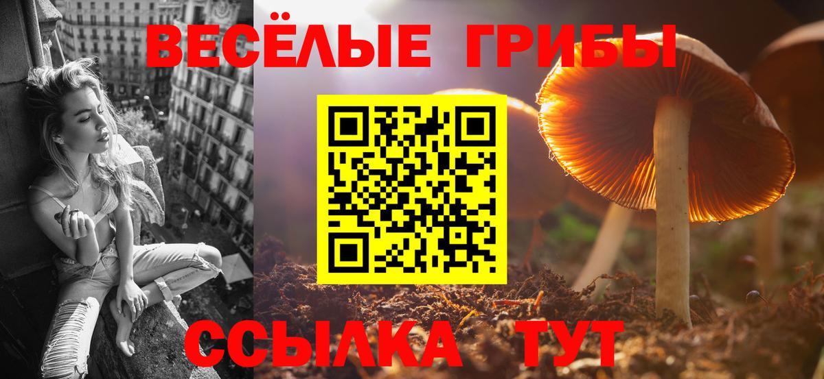 Псилоцибиновые грибы ЛСД Торжок
